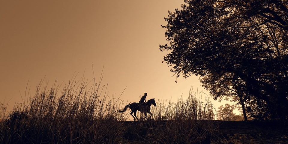 zdjęcie chłopca na koniu